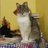 Отзыв от Клара Островская